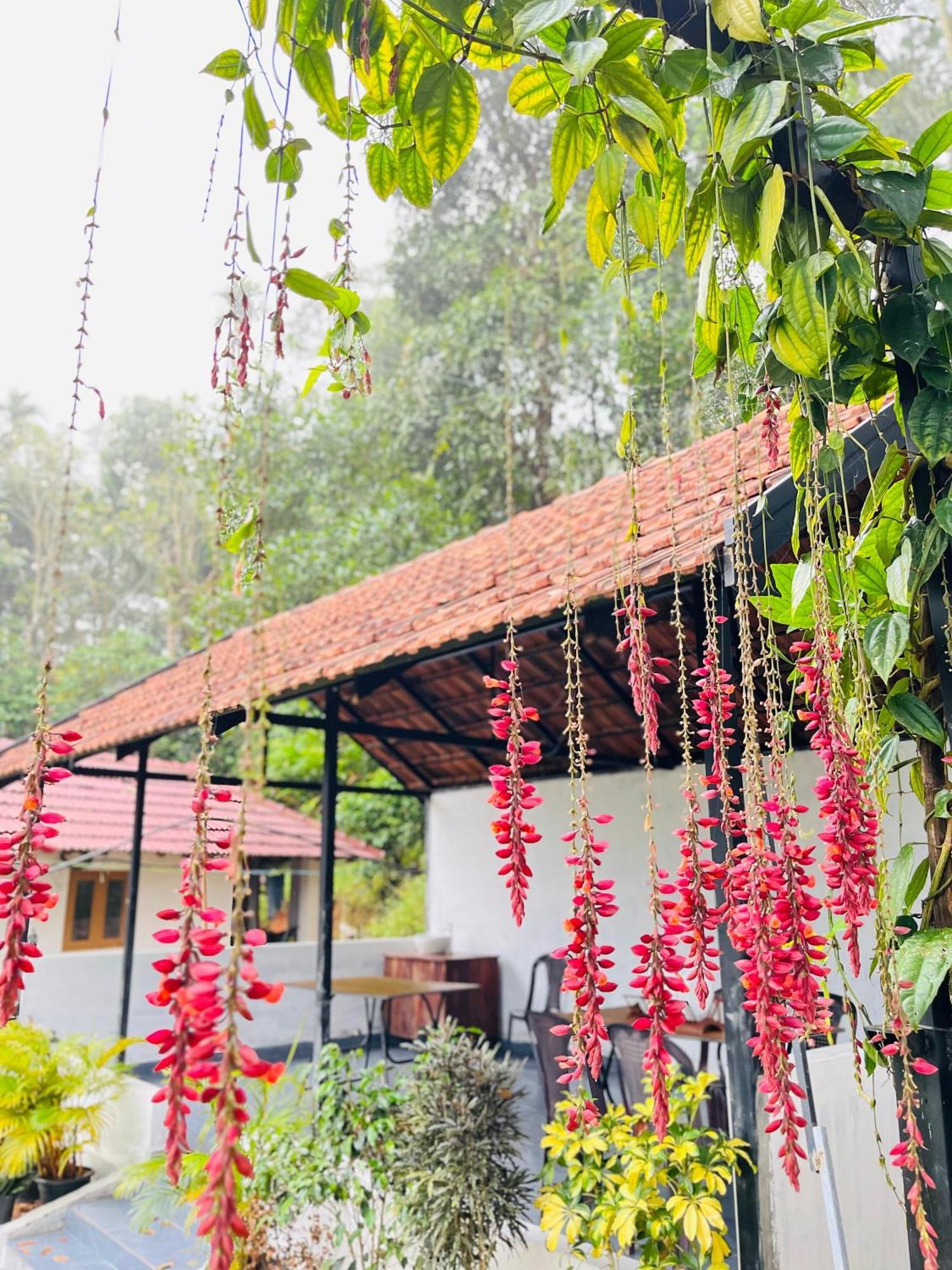 Partho Home Stay Padinjarathara ภายนอก รูปภาพ